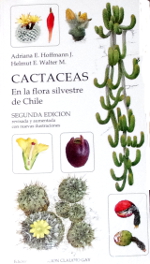 Kakteen von Chile