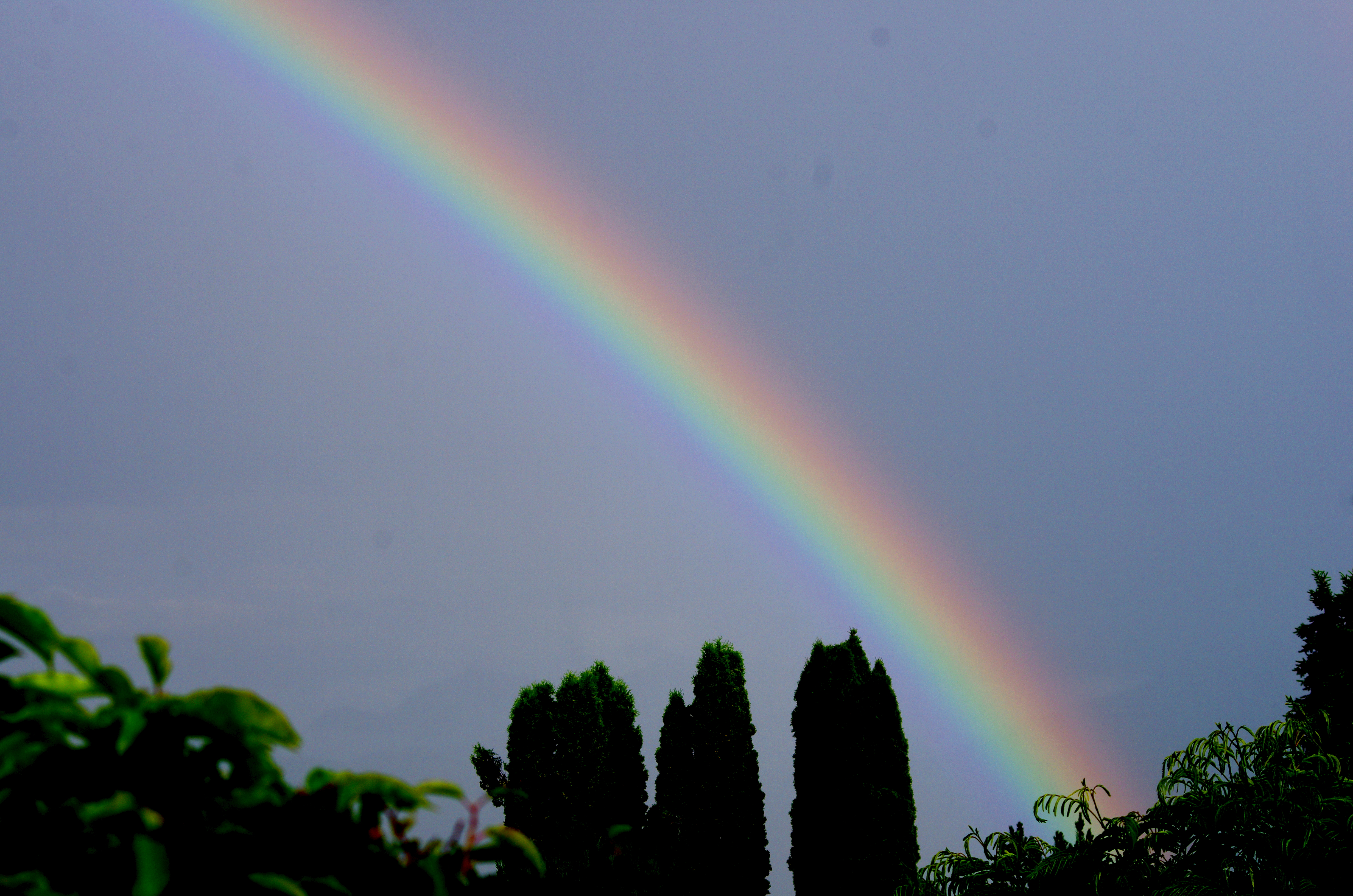Regenbogen