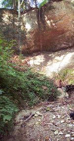 OSM, Bachtel