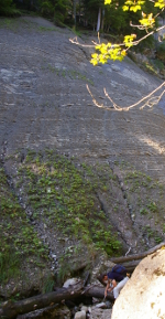 UMM, Toggenburg